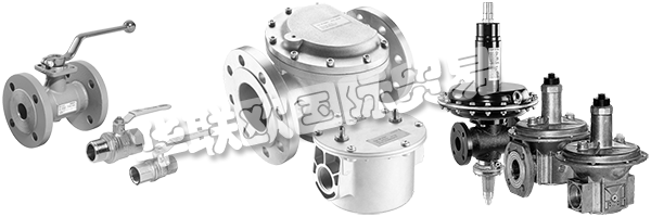 DUNGS是安全清潔氣體燃燒的同義詞，倡導與客戶緊密合作，