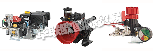 這ANNOVI REVERBERI提出了他多年，因為它開始收緊與認為真正的合作伙伴，