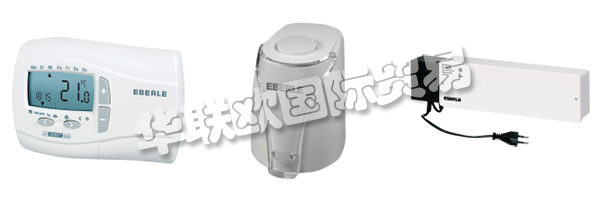 EBERLE保證以奉獻精神處理和實施他們自我實現的目標，