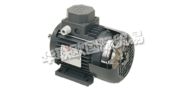 MOTORI BONORA成立于1945年，其業務逐步集中在異步電動機的生產上。  　　在這些年里，他們努力追隨市場的發展，加強他們制造商的使命，并高度重視產品和服務的質量。