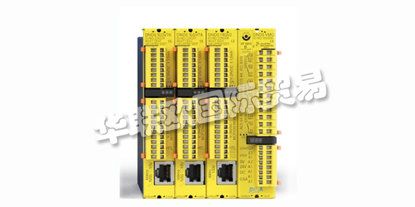 DINA，從友好的鄰里地下室創(chuàng)業(yè)到創(chuàng)新領(lǐng)導(dǎo)者。