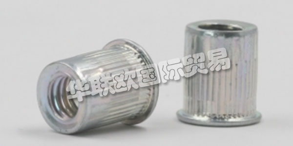 GESIPA始于1955年，博士比爾曼和他的妻子Ibeth比爾曼在法蘭克福創立了一個小公司，公司名字就叫“ GES ellschaft für Internationale PAtentverwertun gmbH”，注冊的企業宗旨是“最初的收購和發明新的制造工藝的商業化在德國和國外“。