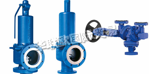 德國LESER主要產品：LESER閥門、安全閥等。LESER是歐洲最大的安全閥制造商，也是全球行業領先的公司之一。