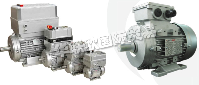 意大利BERMAR公司的主要產(chǎn)品包括：意大利BERMAR電機(jī)、BERMAR電動機(jī)、異步電機(jī)、異步電動機(jī)、永磁發(fā)動機(jī)、逆變器、伺服通風(fēng)電動機(jī)、伺服電動機(jī)、工業(yè)洗衣機(jī)電動機(jī)、單相電動機(jī)、DRIVEJET鼓風(fēng)機(jī)、高效電機(jī)、泵、風(fēng)扇、工業(yè)壓縮機(jī)。